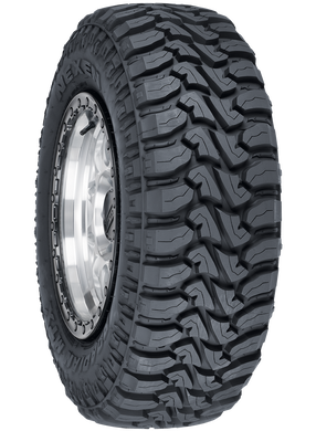 Roadian MTXRoadian MTX, , hi-res