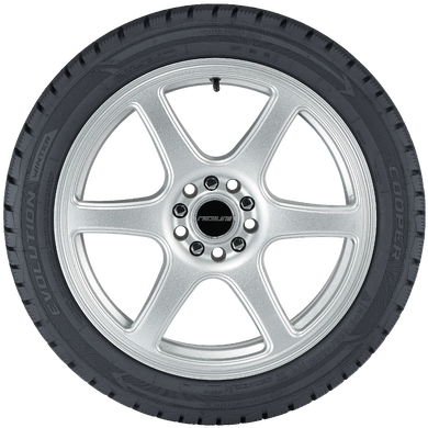 Evolution WinterEvolution Winter, , hi-res