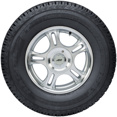 Wintercat SSTWintercat SST, , hi-res