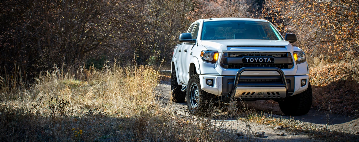 A full-size pickup truck drives on a dirt road amid trees and vegetation