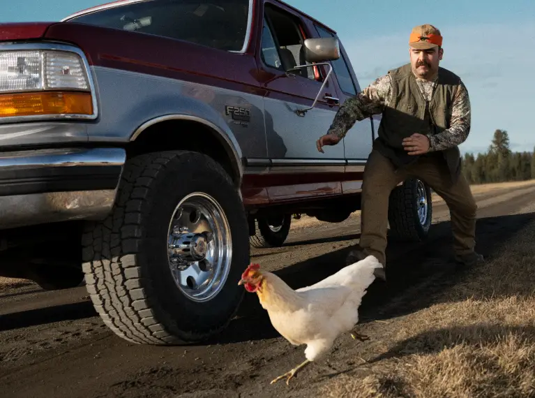 Our greatest story is yours chicken photos