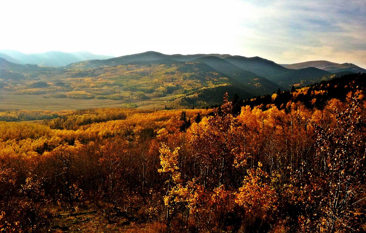 Photo: Kenosha Pass Trail by Christy Correll/Flickr