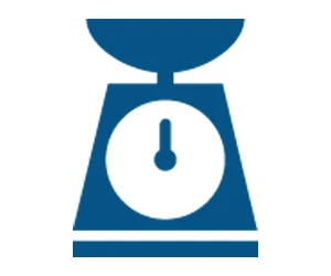 Scale Icon